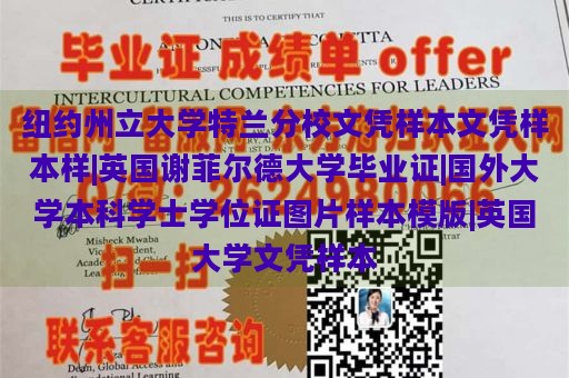 纽约州立大学特兰分校文凭样本文凭样本样|英国谢菲尔德大学毕业证|国外大学本科学士学位证图片样本模版|英国大学文凭样本